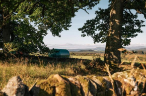 Further Space at Cardross Estate Luxury Glamping Pods, Stirling, Scotland